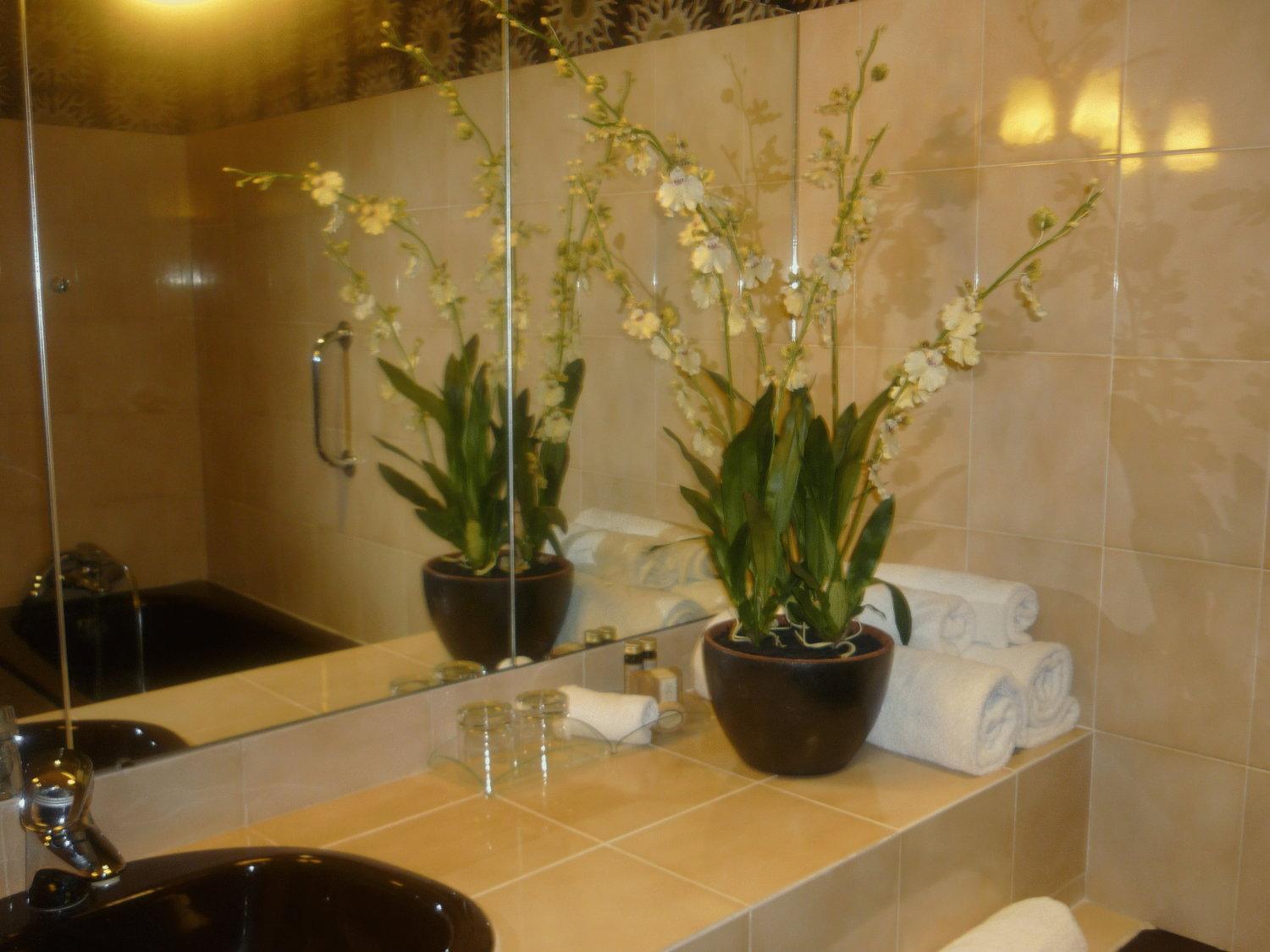 Angerville  Hotel De France מראה חיצוני תמונה